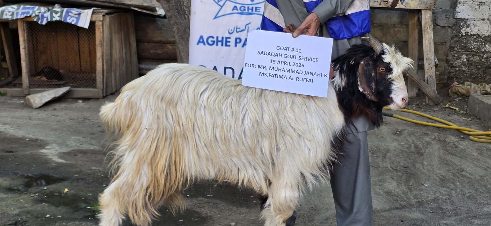 Sadqa Goat Service