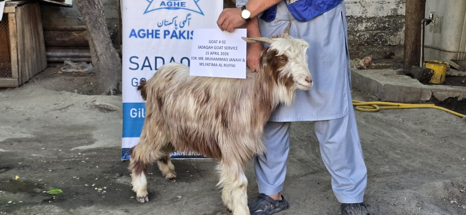 Sadqa Goat Service