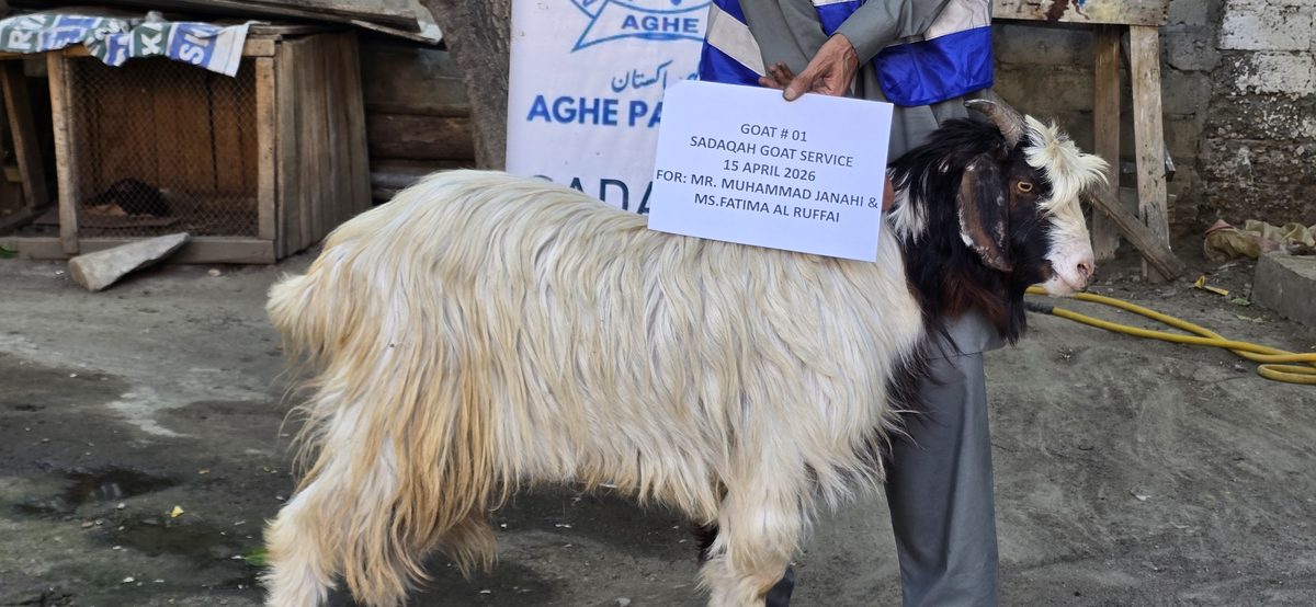 Sadaqa Goat Service