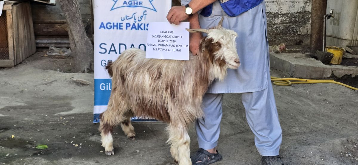 Sadaqa Goat Service — Photo 2