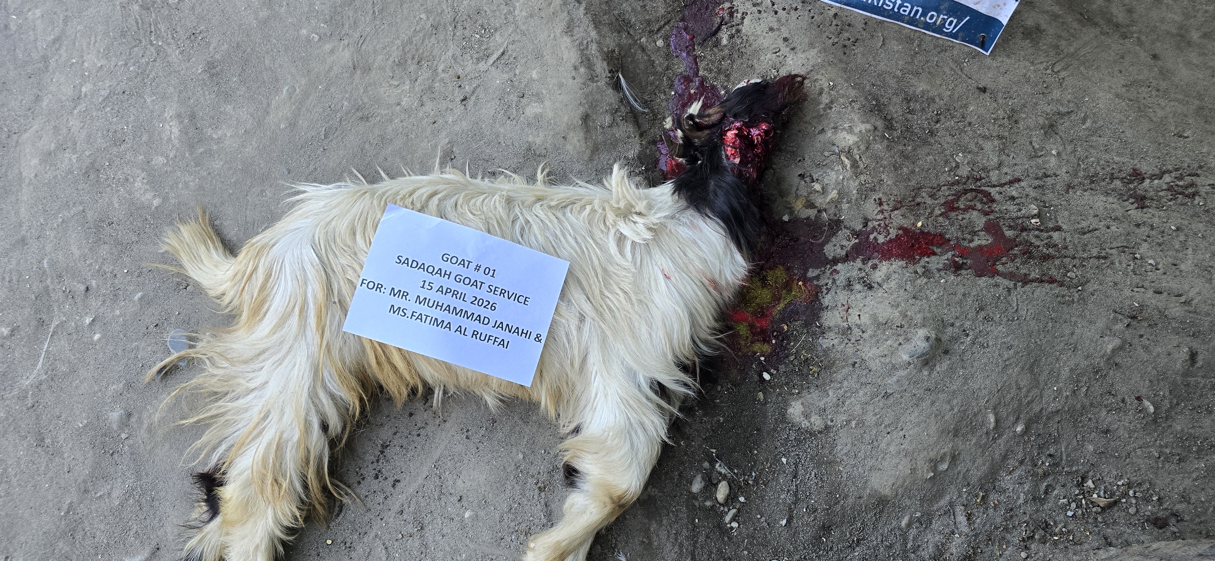 Sadaqa Goat Service — Photo 3