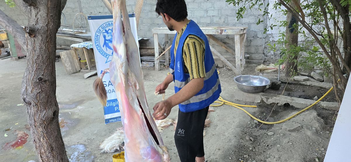 Sadaqa Goat Service — Photo 4