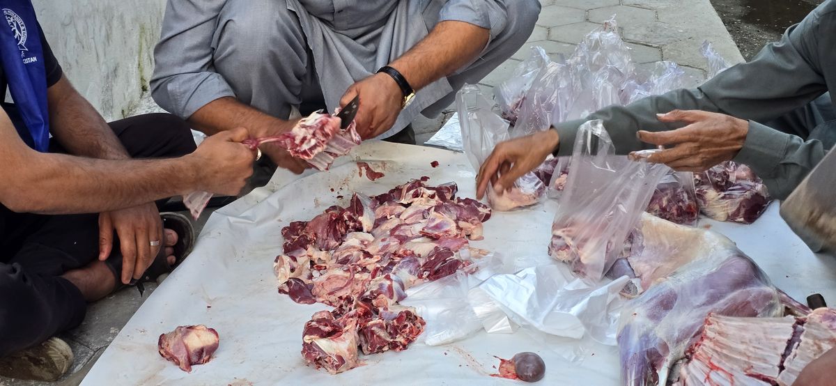 Sadaqa Goat Service — Photo 6